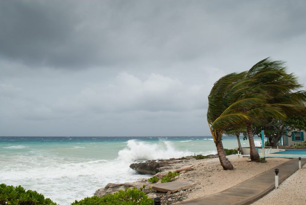 how to hurricane proof your home
